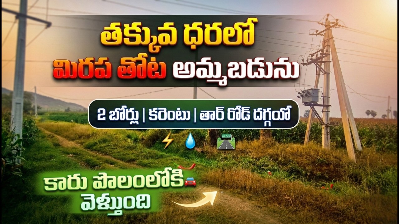 తక్కువ ధరలో మిరప తోట అమ్మబడును |EstateGuruAman