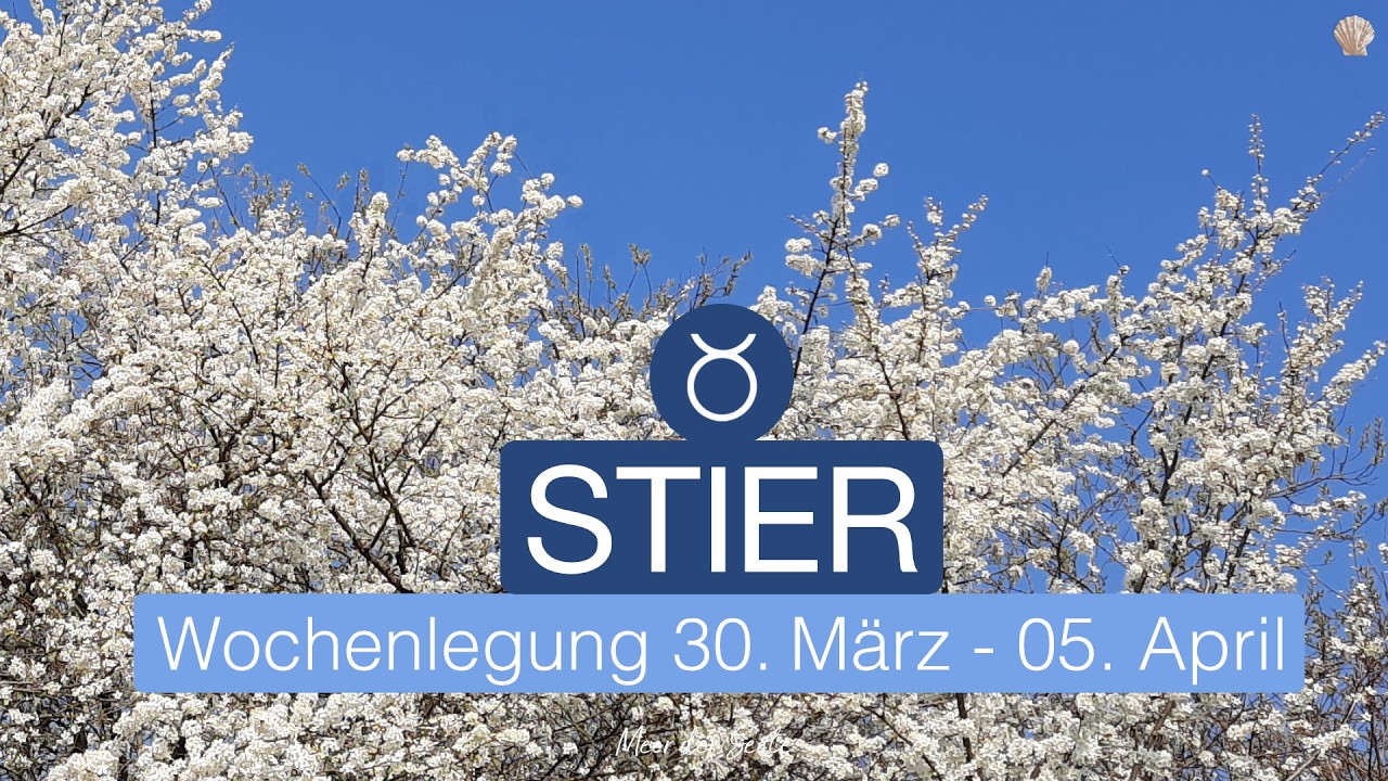 Stier ♉️ 