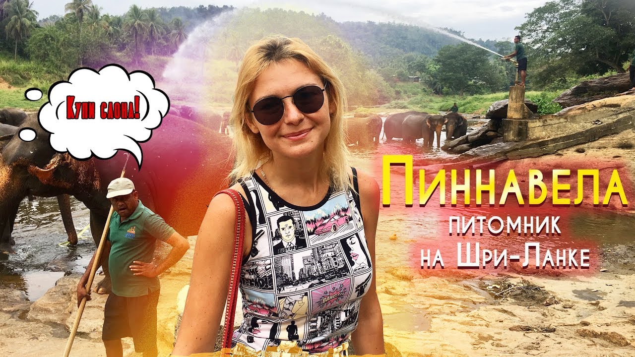 ШРИ-ЛАНКА. Пиннавела - питомник для слонов на Шри-Ланке. Слоновий приют Pinnawala Elephant Orphanage