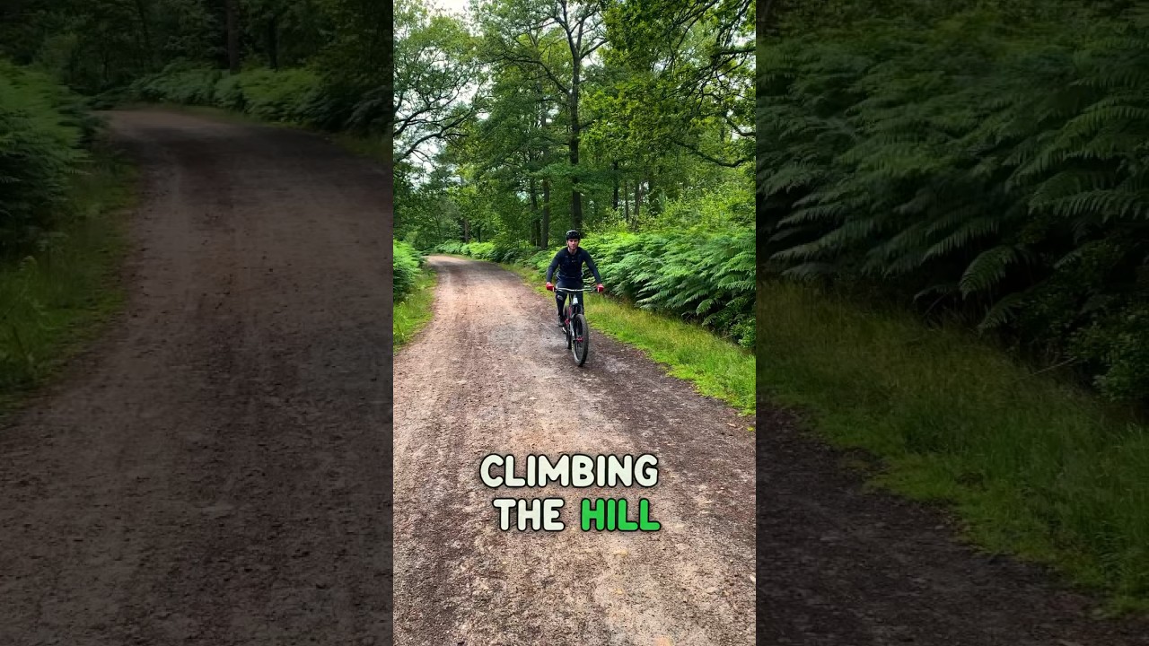 How The Climb Feels VS The Descent 