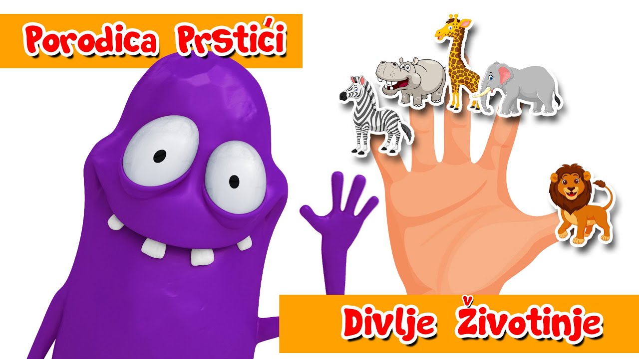 PORODICA PRSTICI - DIVLJE ZIVOTINJE - SONG 1
