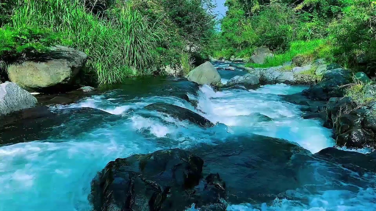 Flowing Mountain Stream Sounds, Forest River Calm Water, Sleep