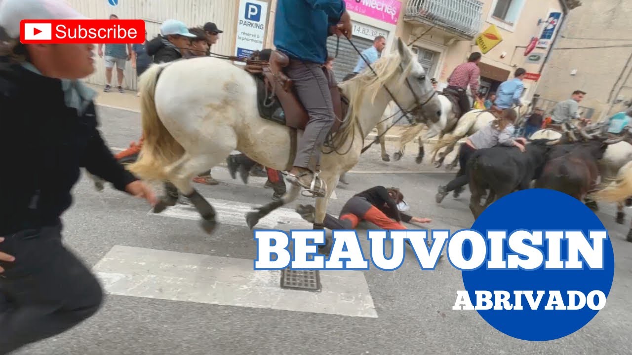 Abrivado ➡️ Beauvoisin 🇫🇷 08/05/25 f&ecirc;te de printemps 🌸 Manades DEVAUX, MARTINI & CAYZAC 🫶🏼