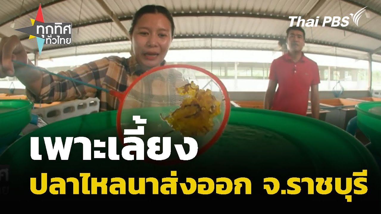 เพาะเลี้ยงปลาไหลนาส่งออก จ.ราชบุรี | ทุกทิศทั่วไทย | 21 ก.ค. 68
