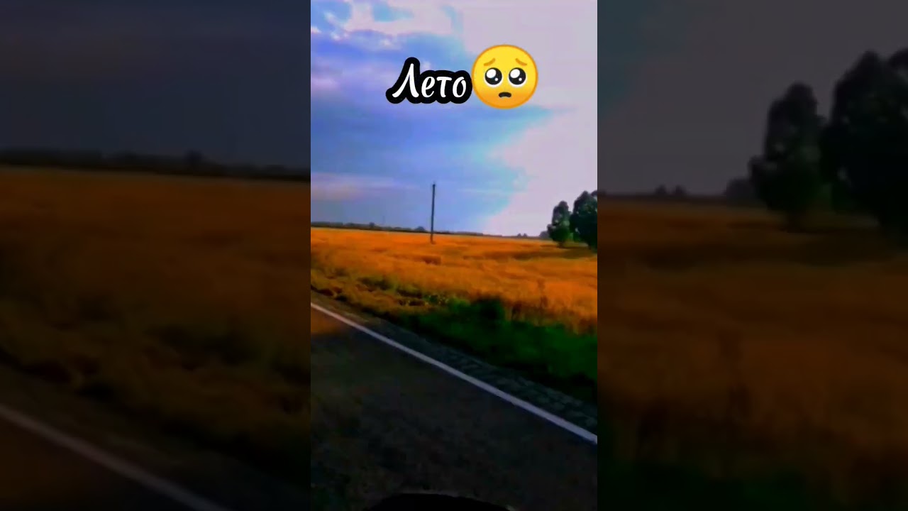 скучаешь по лету? #мото #2023 #kayo #2022 #recer #покатушки #dse #питбайк #эндуро #motocross #motor