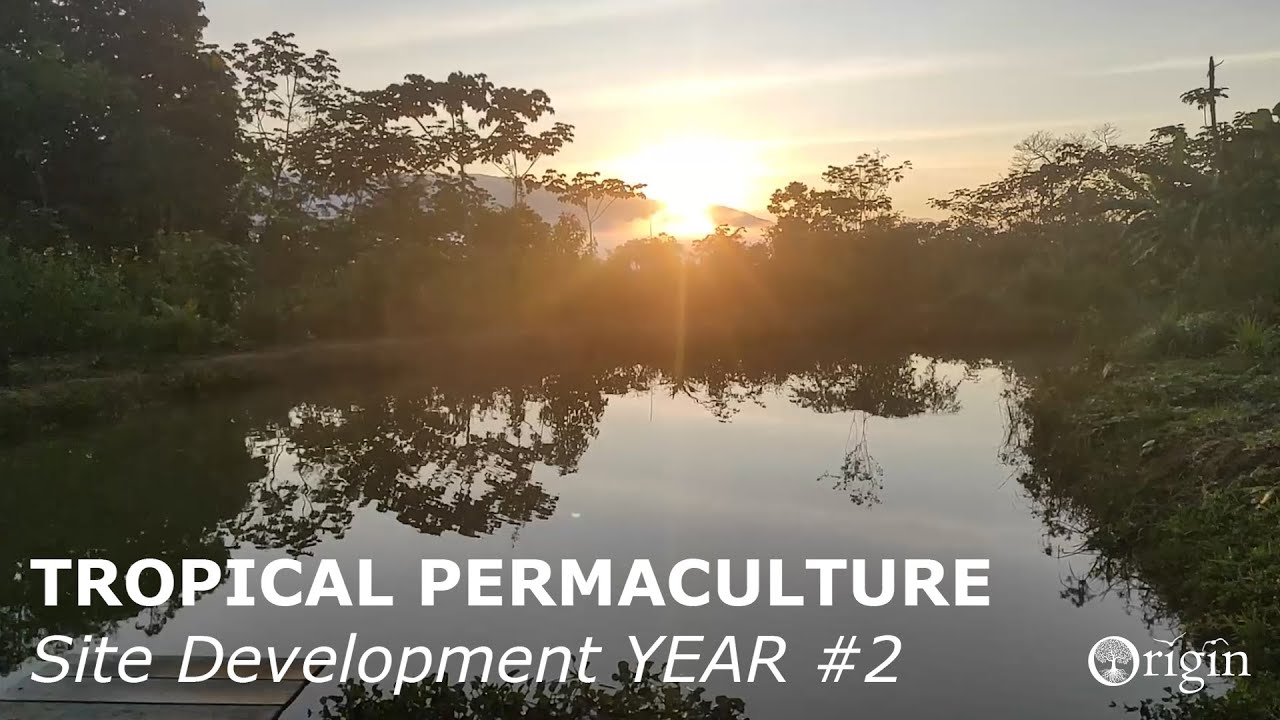 Permacultura en Origin - Año 2