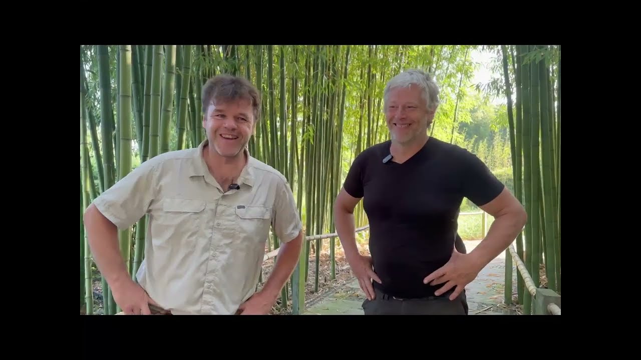 Les bambous dans le Nord - Épisode 2