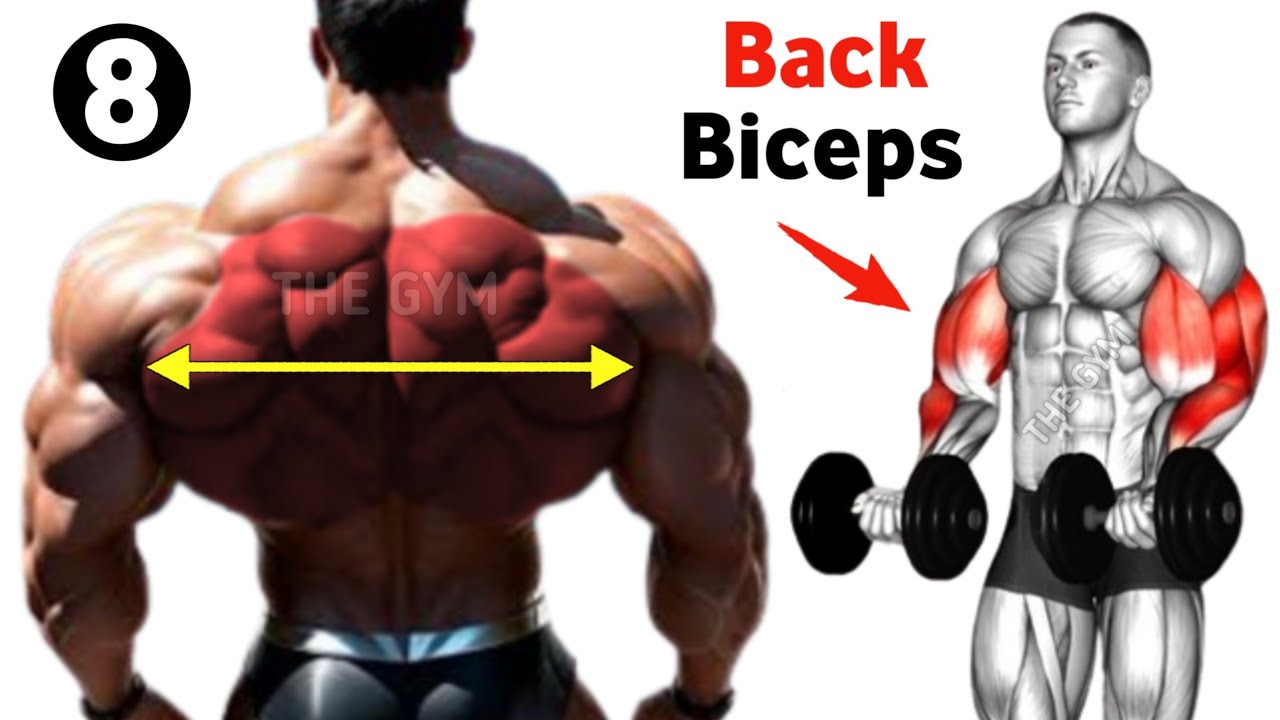 Back And Biceps Workout At Gym - 8 Best Exercises