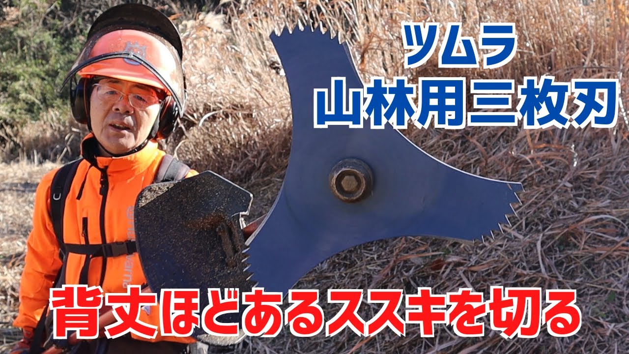 背丈程あるススキを「ツムラ山林用三枚刃」で粉砕しながら刈る！
