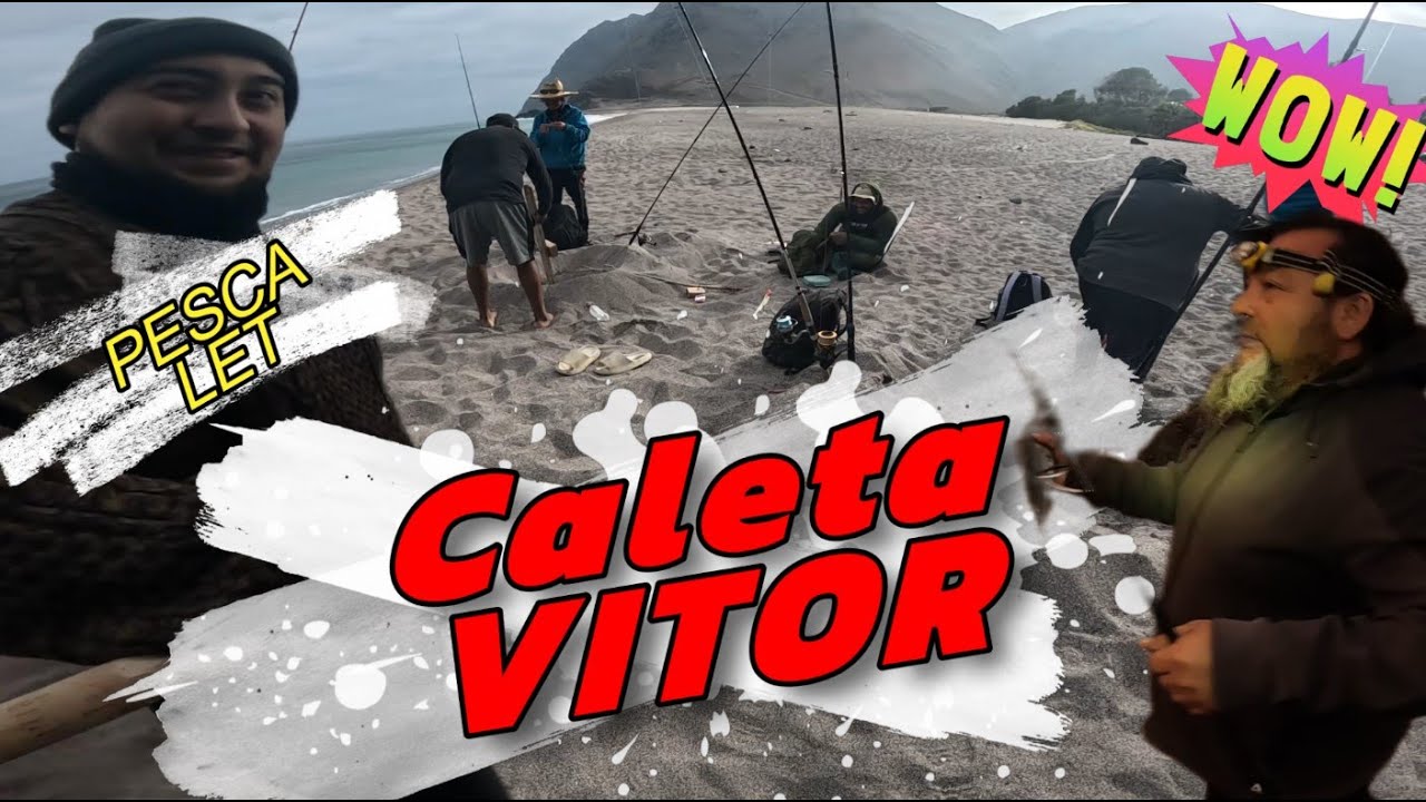 Amigos de la Pesca cap 19 CALETA VITOR Jornada de Pesca #fishing, #fishinglife, #bassfishing