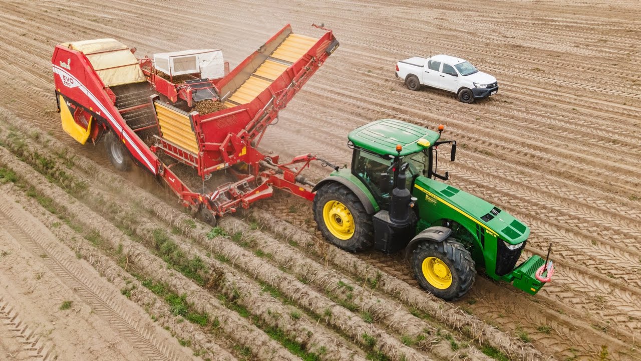 Technologia uprawy ziemniaka w Grupie Top Farms