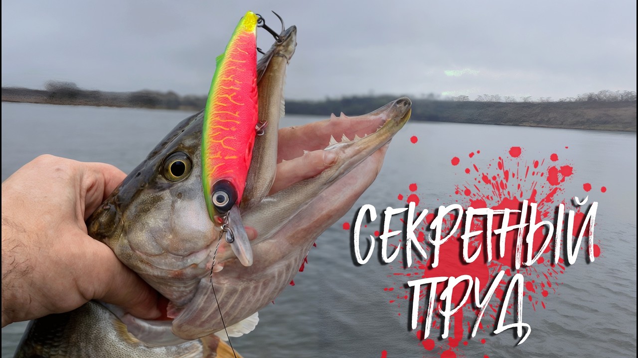 🔴 Не было шансов, но я поехал! И не зря! Как я уговорил щуку! 🎣💥🔥