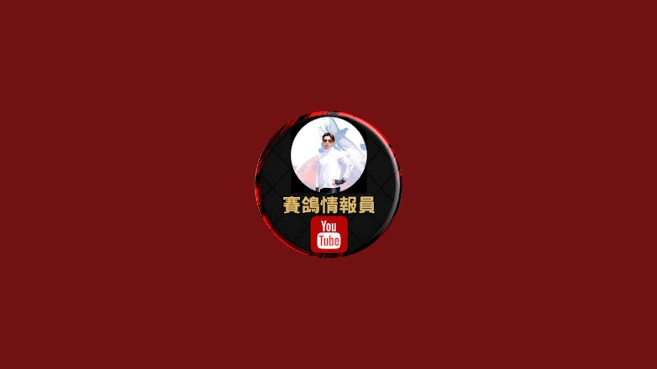 2026春季賽鴿第一關岡山等鴿現場