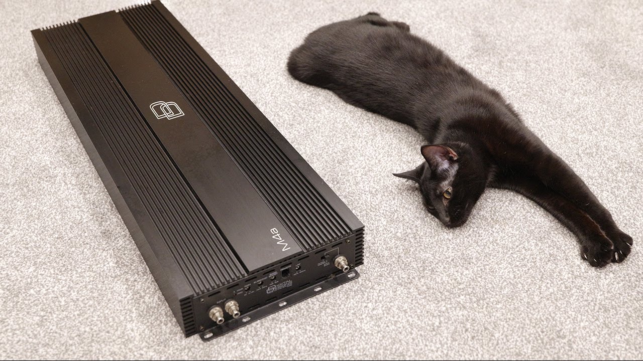 Opening My 7K Watt RMS Car Amp  - DD M4a