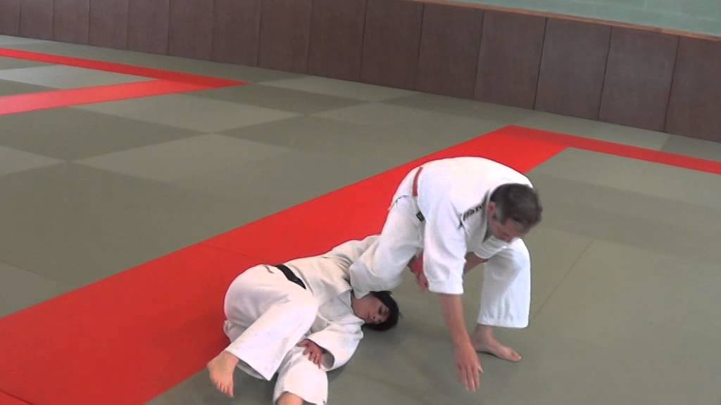 JUJITSU 20 techniques + Explicatif - SERIE C