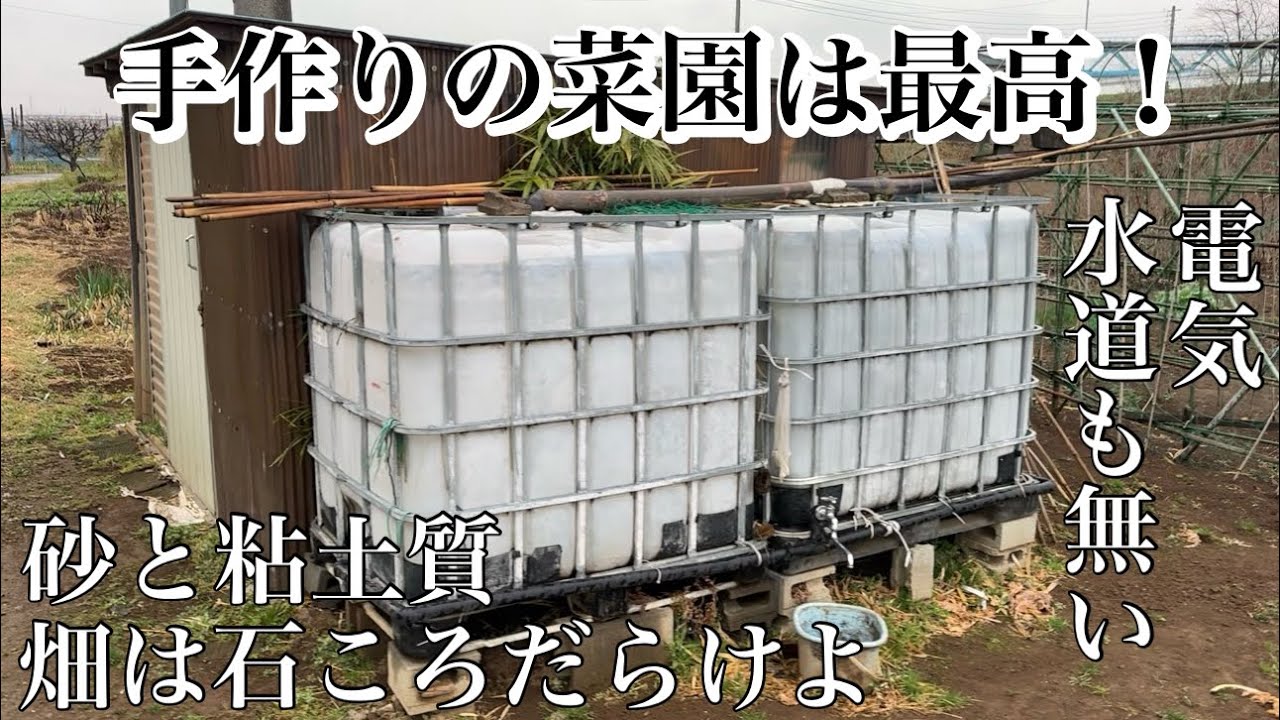 砂質と粘質の畑で良く育つ野菜。足りない物は自分で作る工夫を凝らした畑　24/2/23