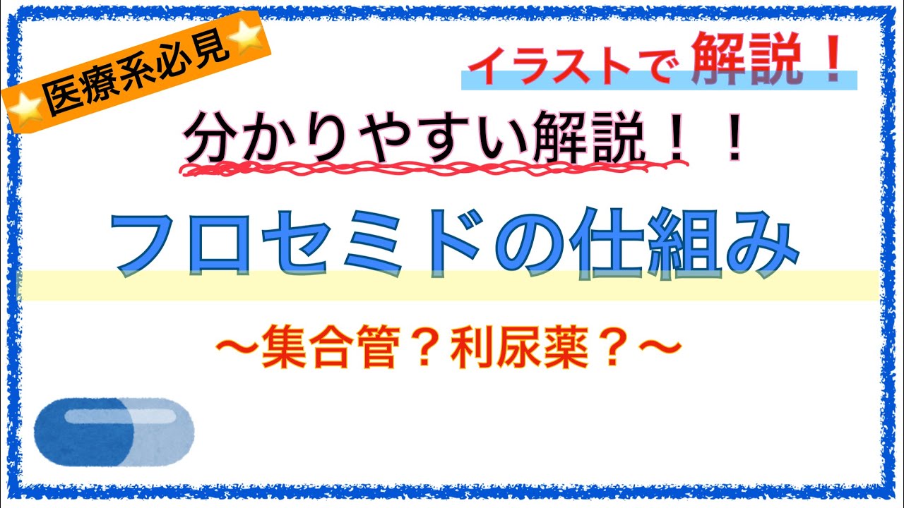 教科書をわかりやすく！「ループ利尿薬の作用とは？フロセミドの仕組み」