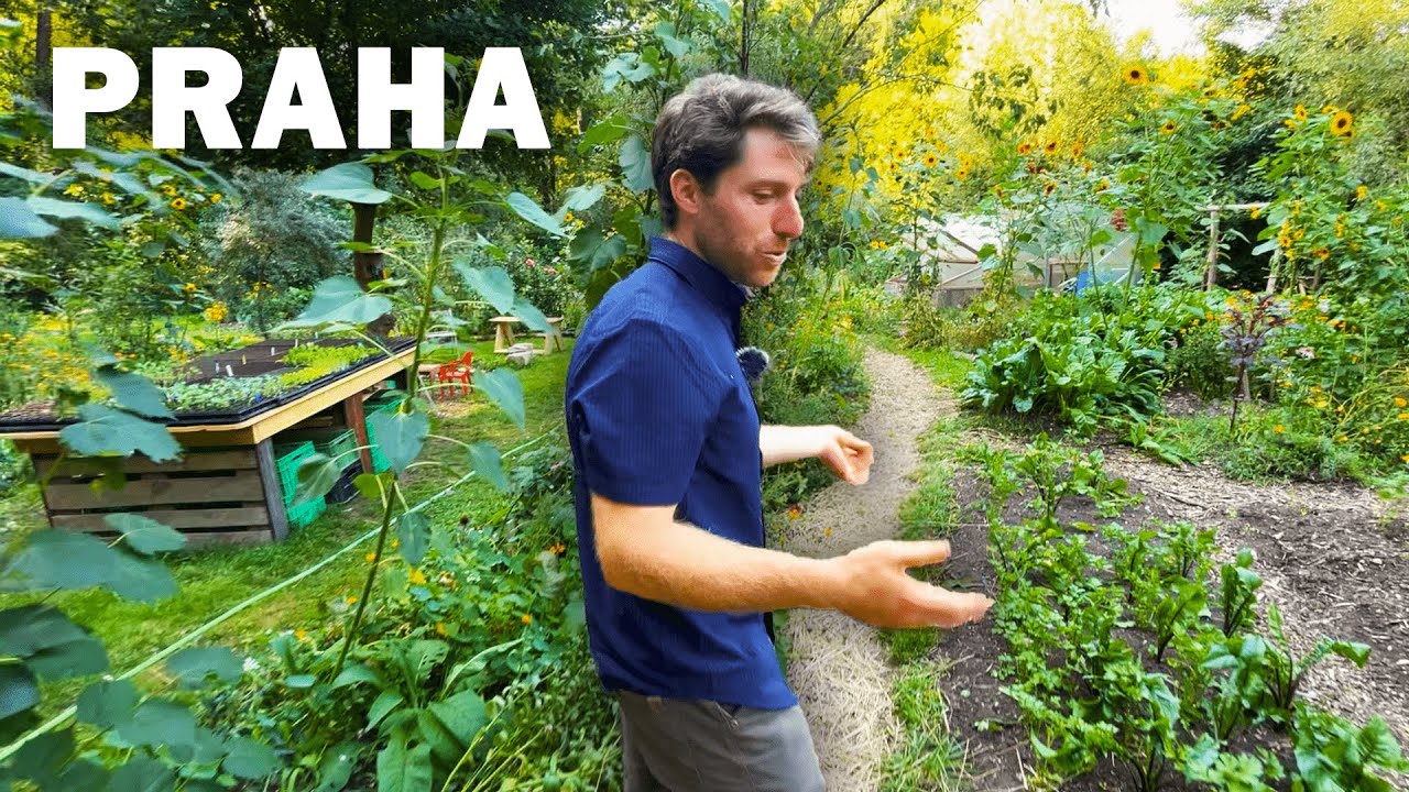 Nav&scaron;t&iacute;vil Jsem Permakulturn&iacute; Farmu Americk&eacute;ho Farm&aacute;ře v Praze