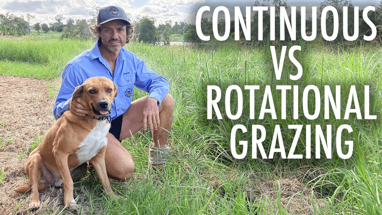 CONTINUOUS VS ROTATIONAL GRAZING (THE FACTS)!!
