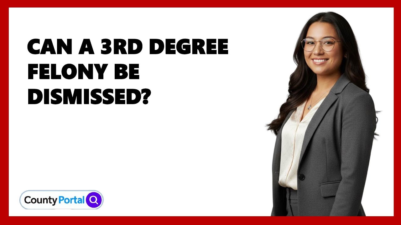 Can A 3rd Degree Felony Be Dismissed?