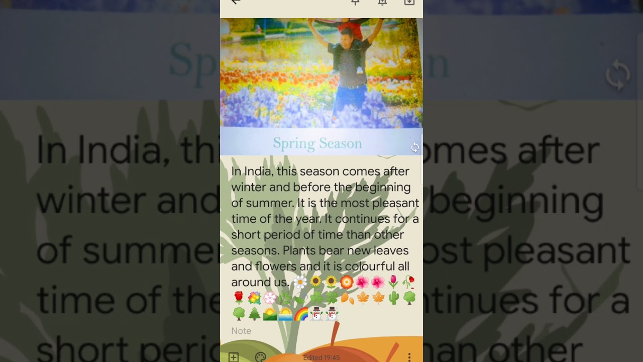#essay