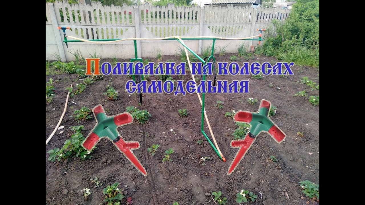 мини Полив на колесах (2020)