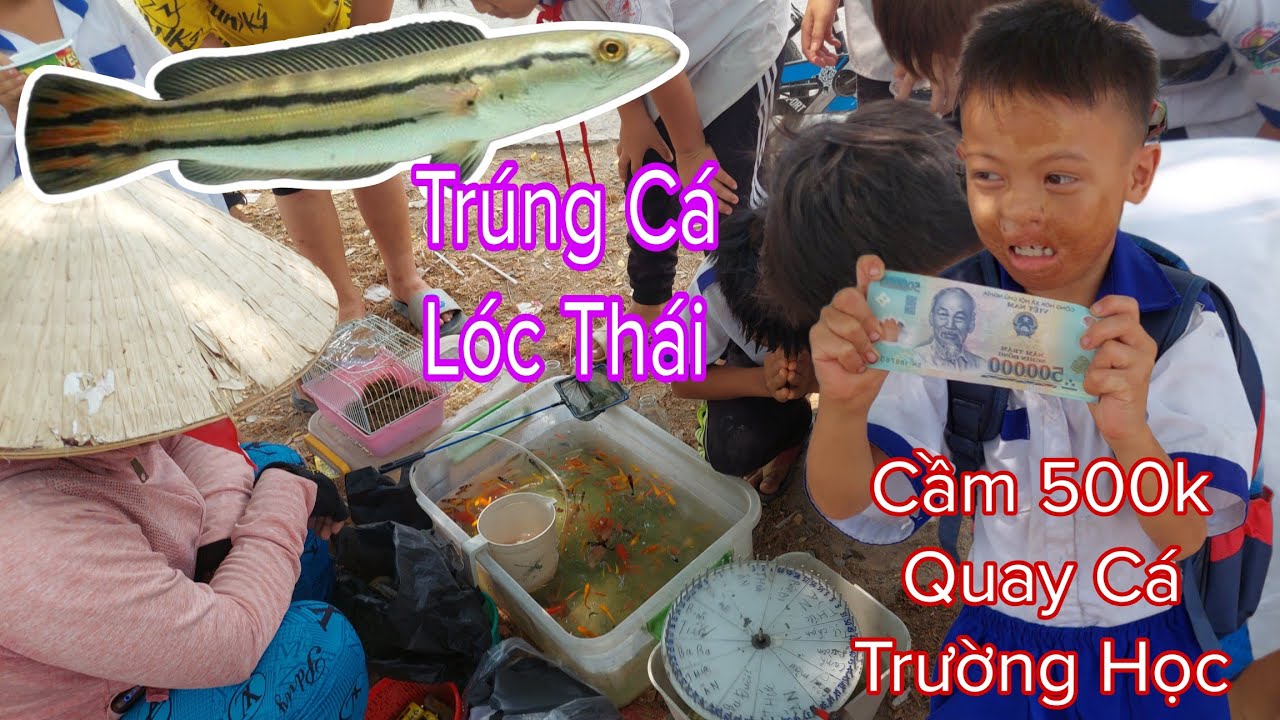 Cậu Học Trò Cầm 500k Quay Cá Dạo Trường  Học
