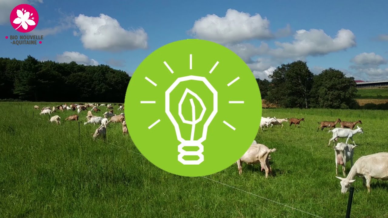 1. Déterminer la quantité d'herbe à offrir à mes chèvres
