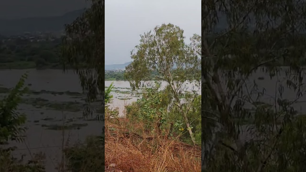 Река Нигер после дождя. Мали. River Niger after rain. Mali 🇲🇱.