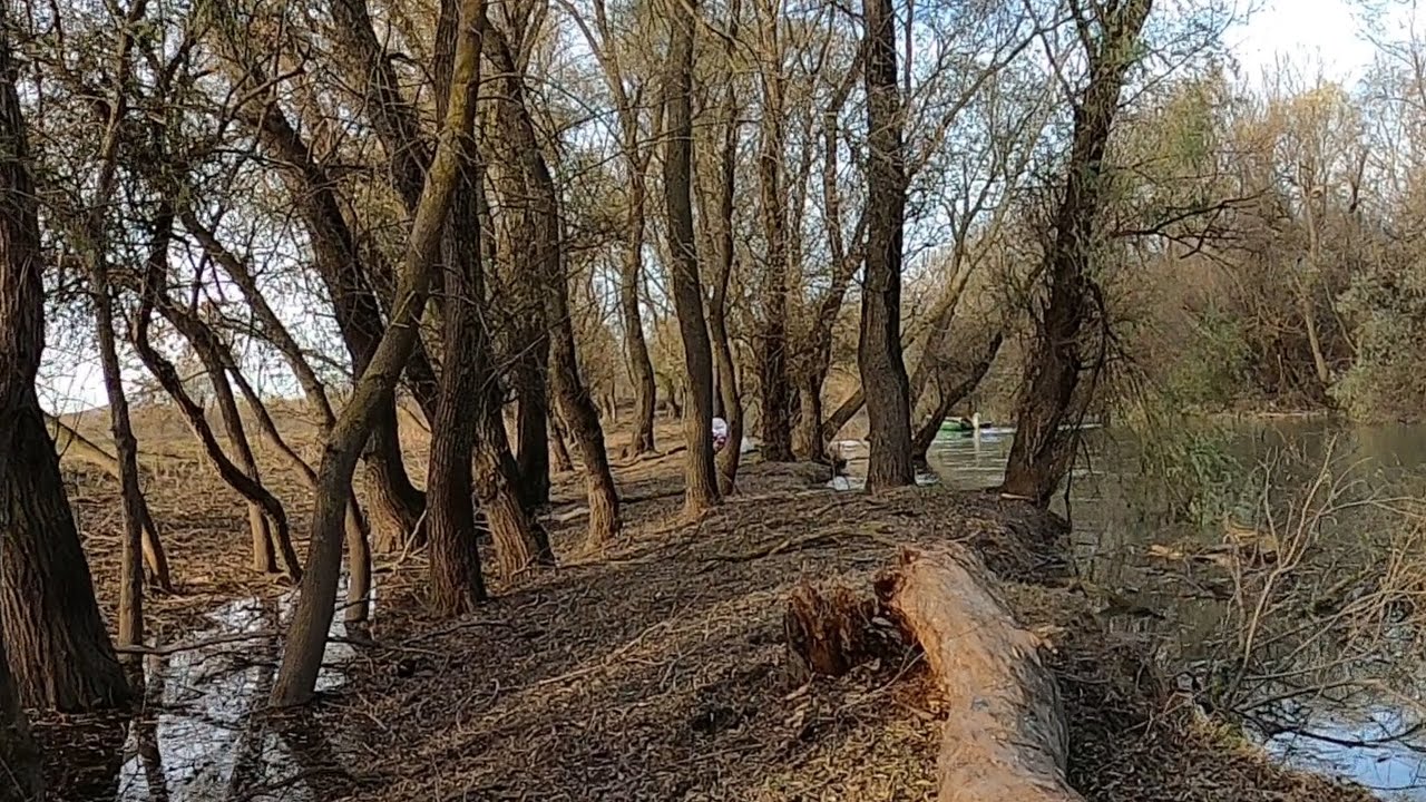 Am pescuit pe canalul Litcov și am încheiat la Dunăre 🎣