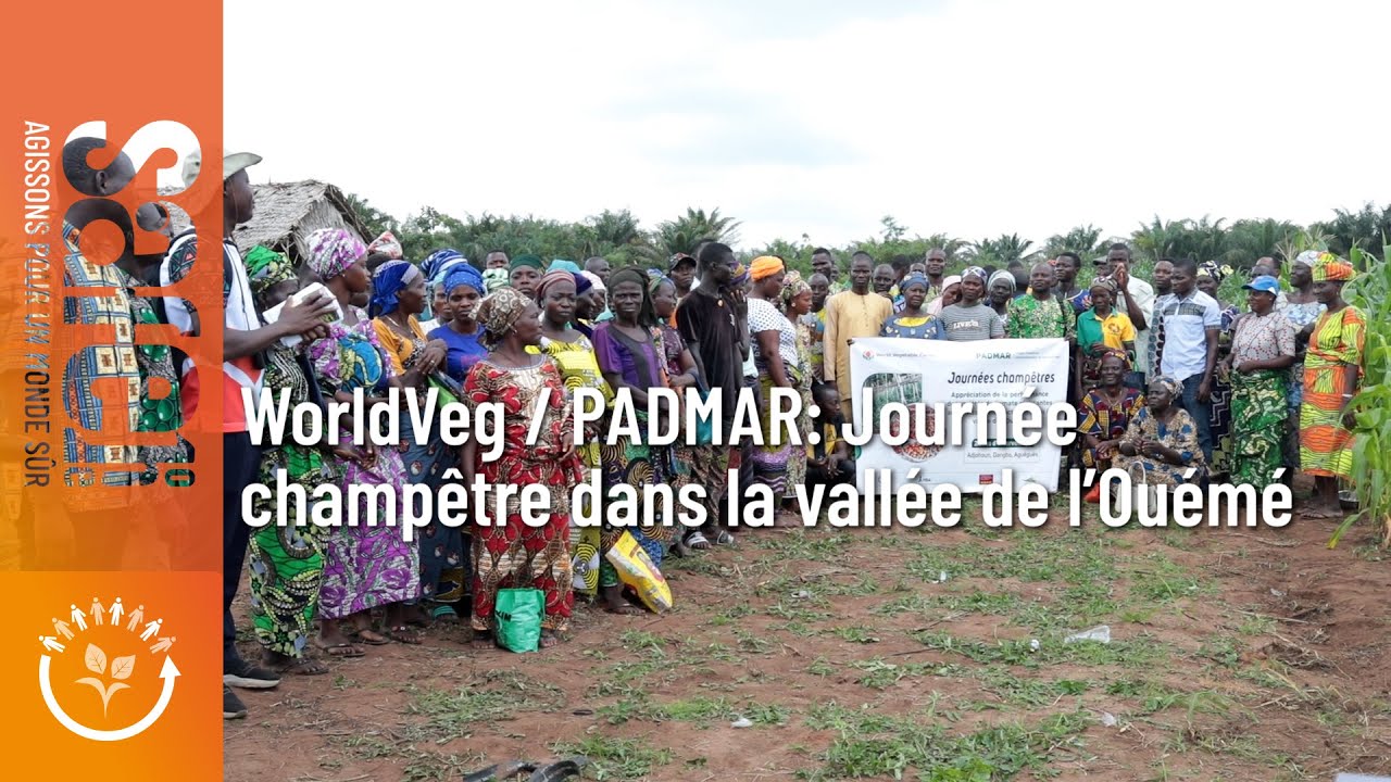 Production de tomate dans la Vallée de l'Ouémé - #SafeOne