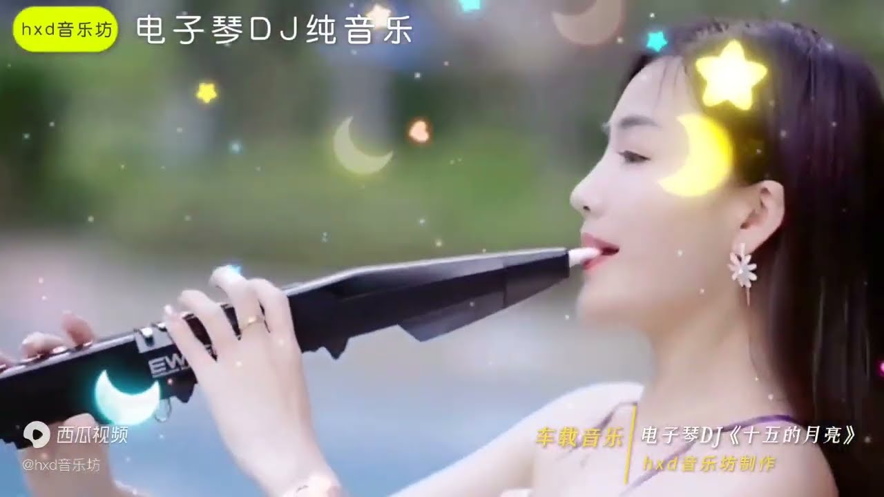 车载音乐电子琴《十五的月亮》DJ高音质电子琴伴奏   西瓜视频 ,new dj 2022 remix music