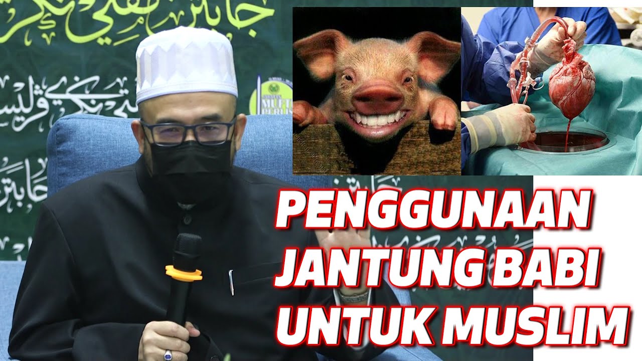 Dr MAZA - Penggunaan Jantung Babi Untuk Muslim