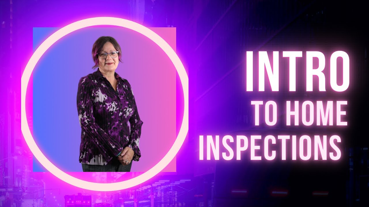 What do Home Inspectors look for?