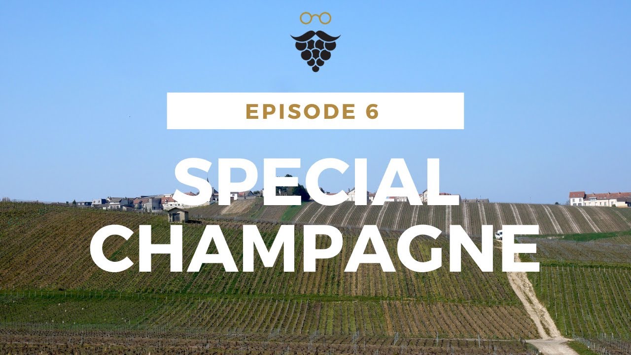 CHICOULON - La tournee du caviste - episode #6 - Champagne Pouillon et Suenen