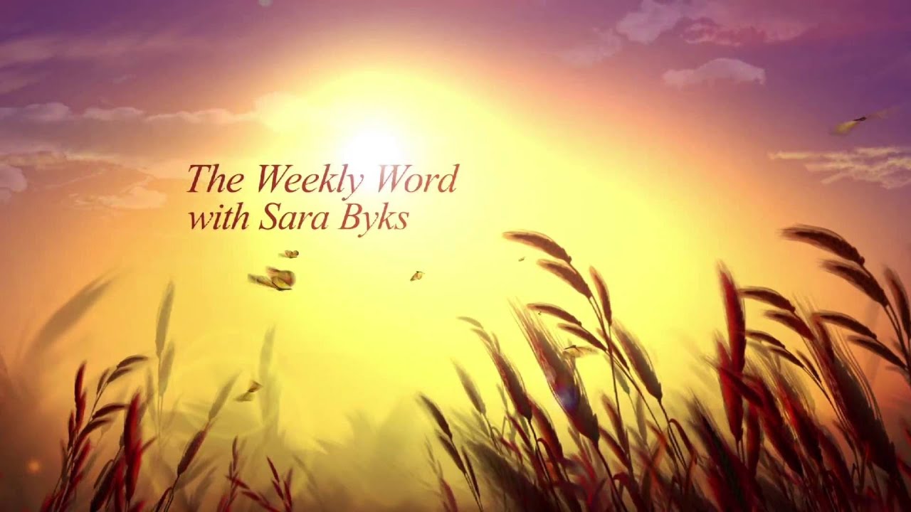 Bath City Beat - The Weekly Word with Sara Byks: Bite