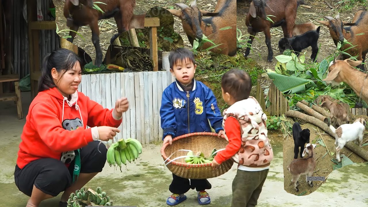 Мать-одиночка готовит спринг-роллы &mdash; сельская жизнь.