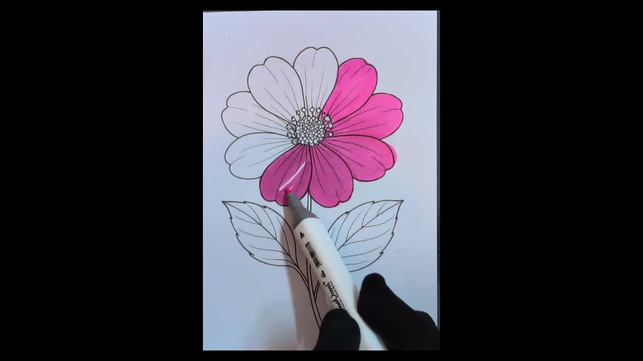 Flower colouring #art #flowers #viral #videlviral #treding 