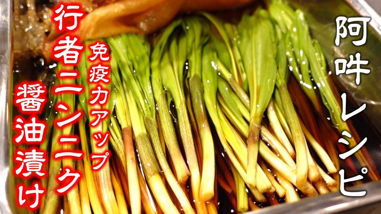 幻の山菜で免疫力アップ【行者ニンニク醬油漬け】簡単レシピ