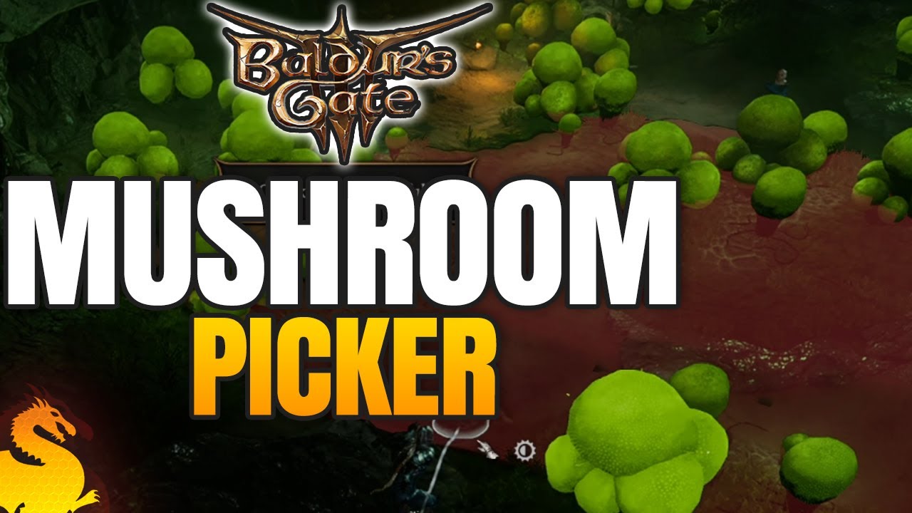 Mushroom Picker Easy Solution - BALDUR'S GATE 3