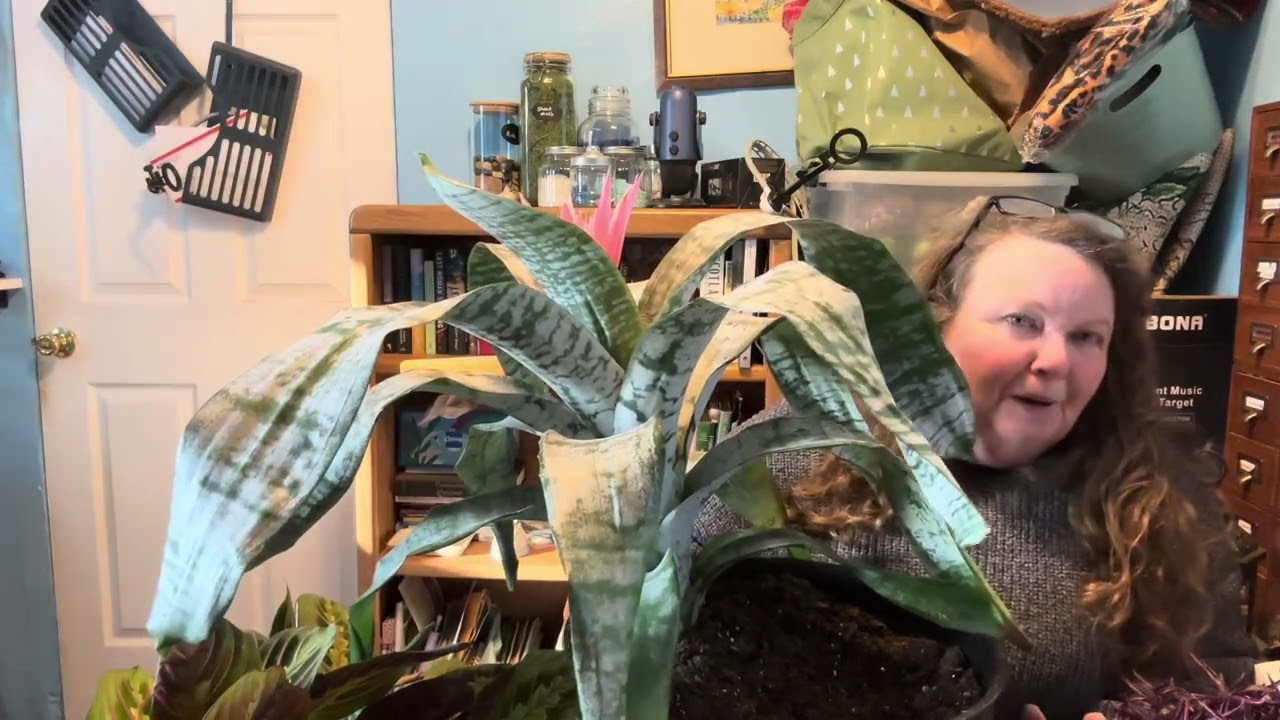 Halloween All Saints Day Fairy Garden 