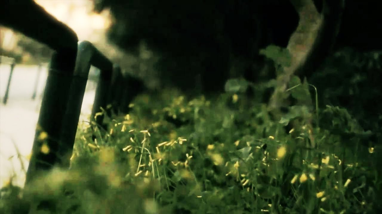 canon eos 550d 720p60fps-up1080p