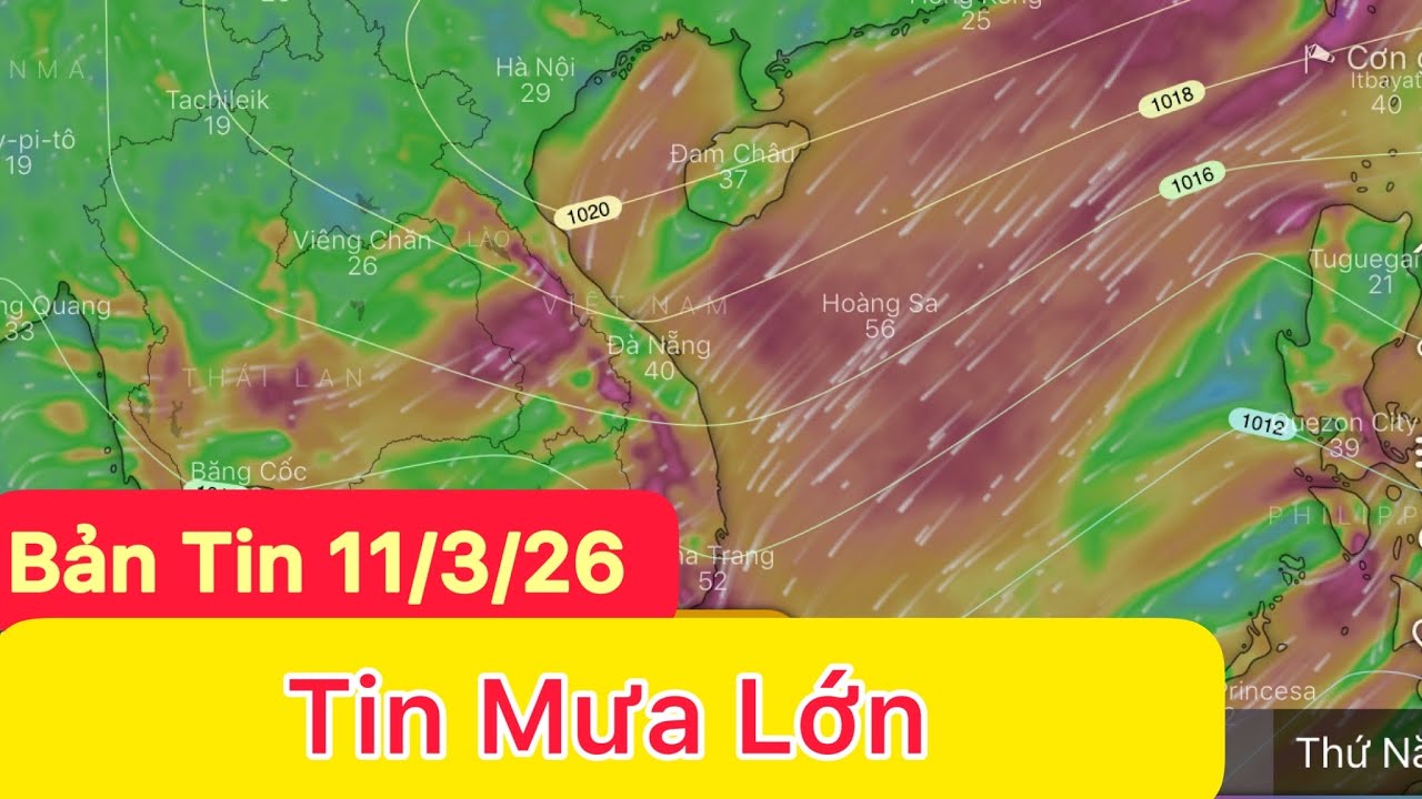 Bắt đầu đợt mưa to | liên tiếp rét tăng cường | Dự báo thời tiết hôm và ngày mai 11/3