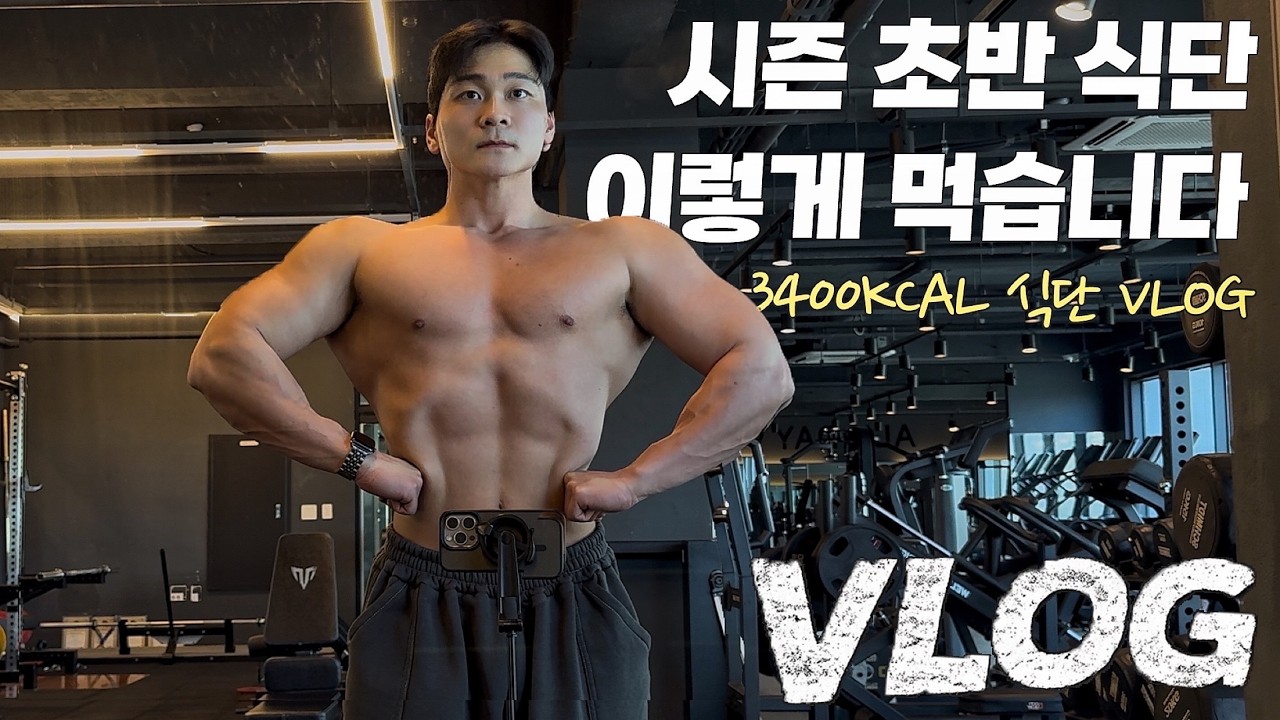 다이어트 초반 '3400kcal' 식단 전부 담아봤습니다 ㅣ  V-LOG