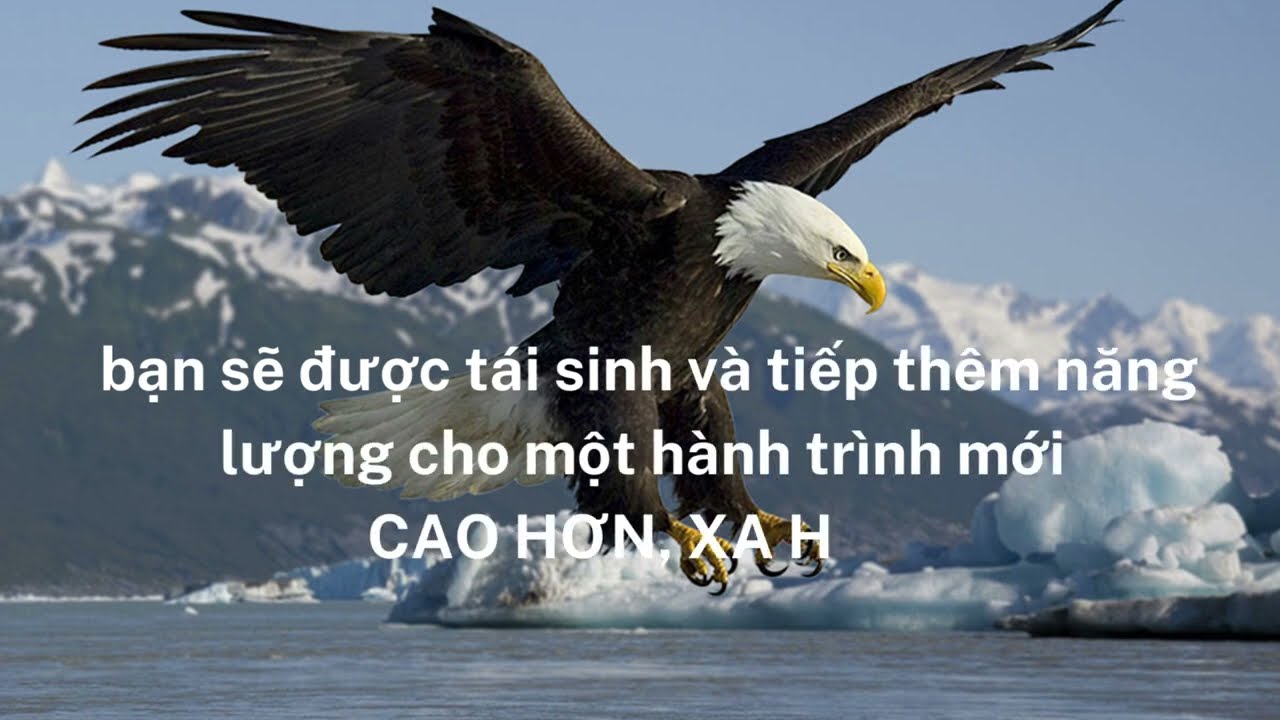 CÂU CHUYỆN ĐẠI BÀNG VÀ SUY NGẪM CUỘC ĐỜI