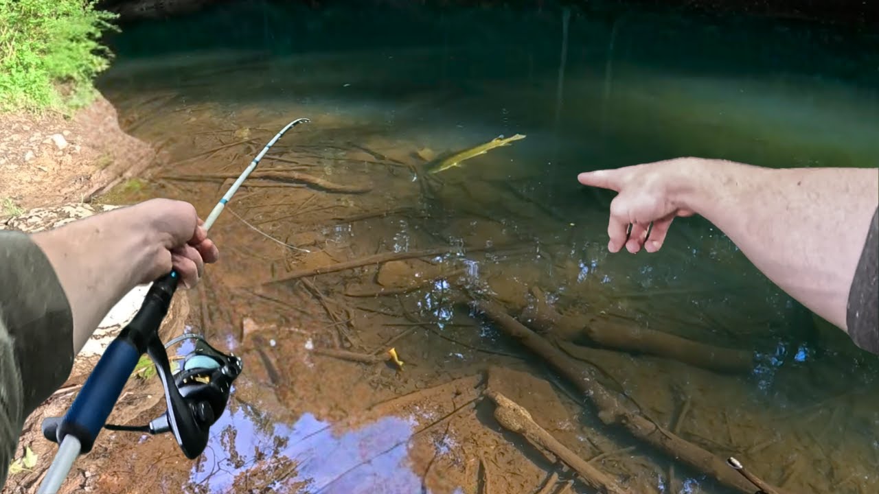 Sight Fishing for the Fish of 10,000 Casts!!!