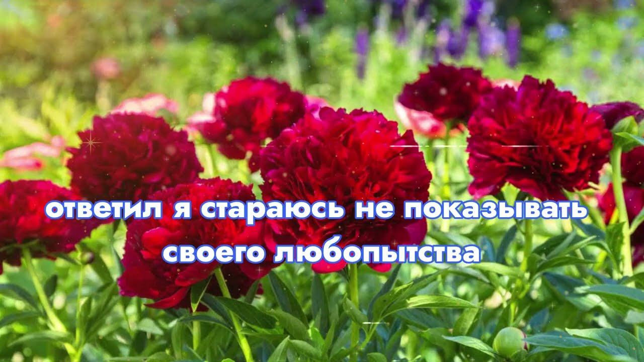 Я пошла к матери своей подруги, когда она была дома одна, и тогда я очень сильно ошиблась
