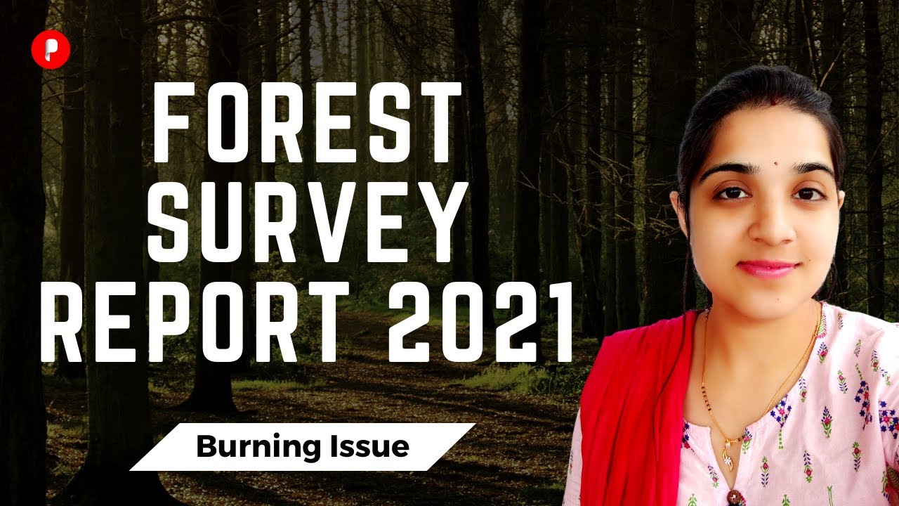 Forest Survey Report 2021 | Burning Issue