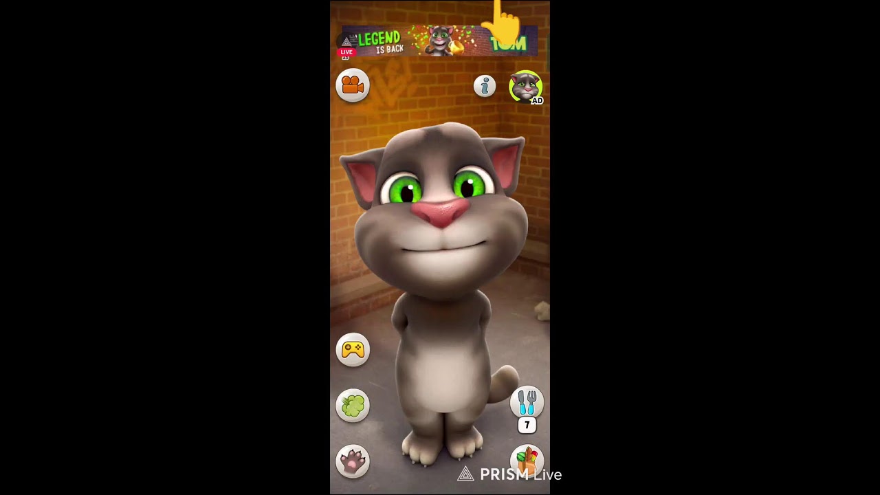 talking tom game