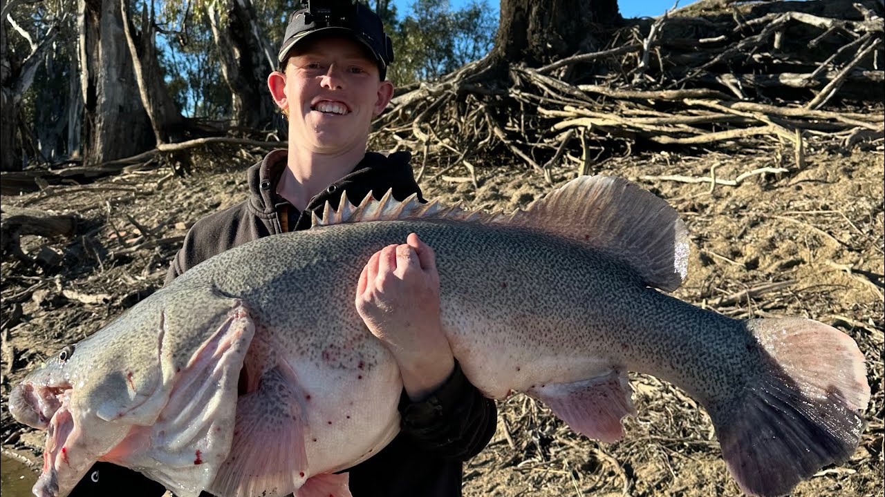 Murray Cod fishing in Deniliquin, 112cm giant